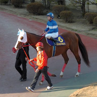 2007/01/31 川崎10R
