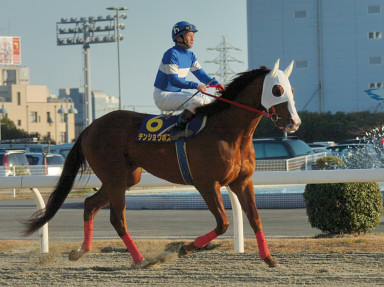 2007/01/31 川崎10R