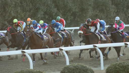 2007/01/31 川崎10R