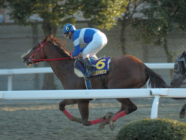 2007/01/31 川崎10R