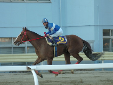 2007/01/31 川崎10R
