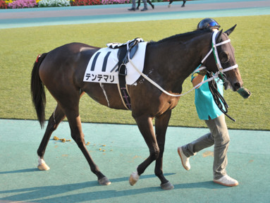 2015/10/12 東京12R