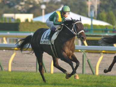 2015/10/12 東京12R