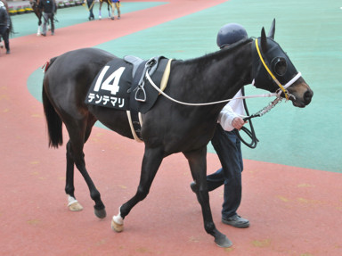 2016/12/17 中京11R