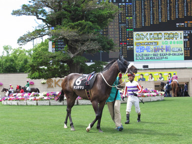 2017/05/27 京都09R