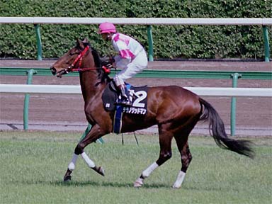 2001/04/15 中山08R