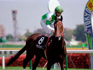 2001/06/03 東京08R