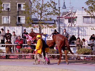 2001/02/11 川崎09R