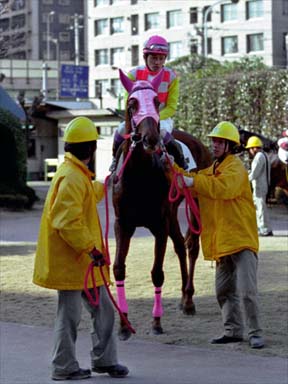 2001/02/11 川崎09R