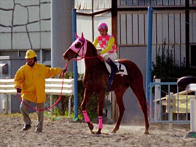 2001/02/11 川崎09R