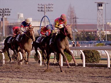 2001/02/11 川崎09R