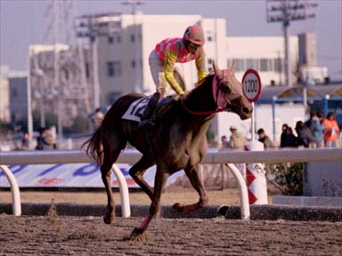 2001/02/11 川崎09R