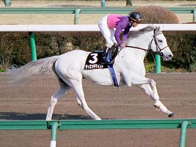 2003/02/15 中山10R
