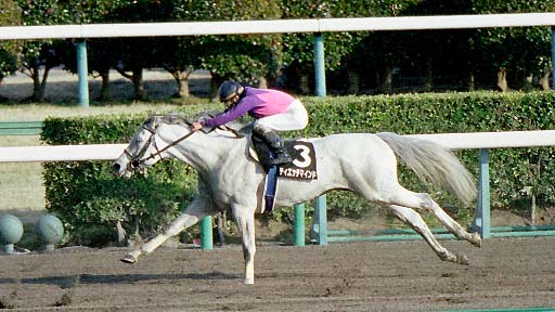 2003/02/15 中山10R