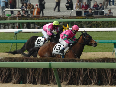 2006/02/25 R04R