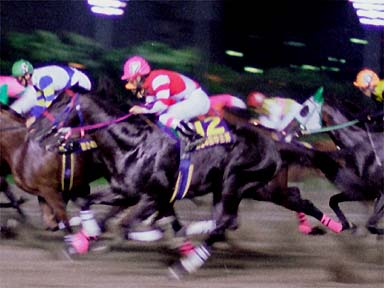 2001/06/26 大井09R