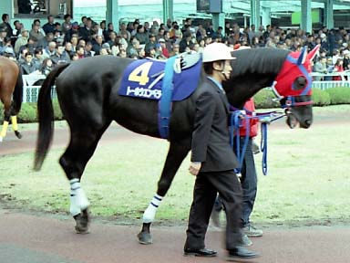 2001/12/05 浦和10R