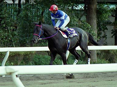 2001/12/29 大井09R