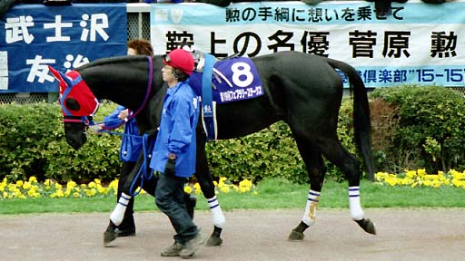 2002/02/17 東京11R