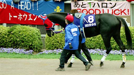 2002/02/17 東京11R