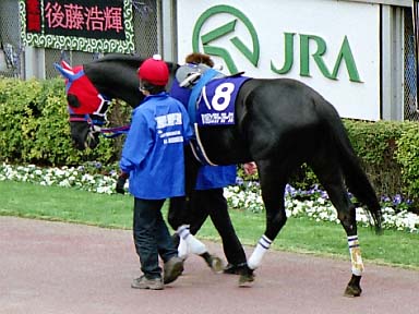 2002/02/17 東京11R