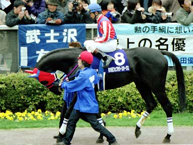 2002/02/17 東京11R