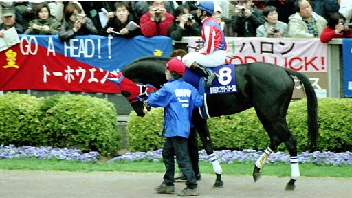 2002/02/17 東京11R