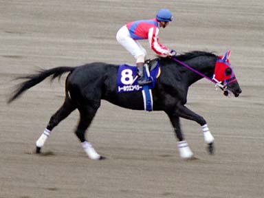 2002/02/17 東京11R