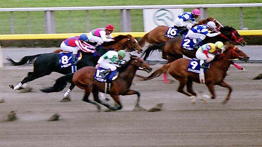 2002/02/17 東京11R