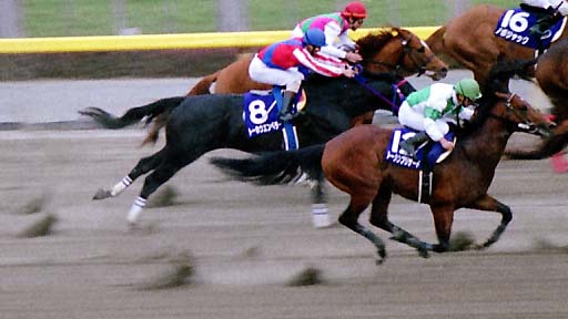 2002/02/17 東京11R