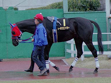 2002/03/21 名古屋10R