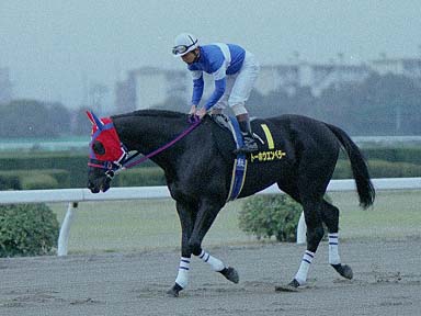 2002/03/21 名古屋10R