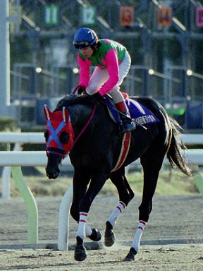 2002/12/29 大井09R