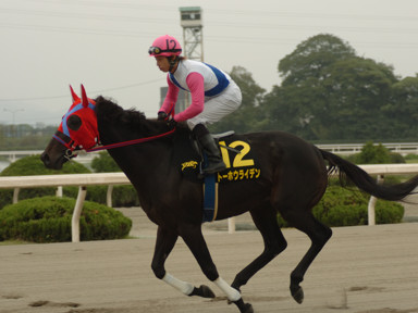 2008/11/03 園田09R