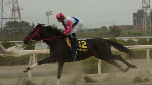 2008/11/03 園田09R