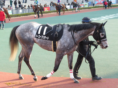2018/01/21 中京12R