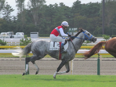 2019/10/05 新潟01R