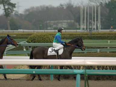2009/03/08 中山08R