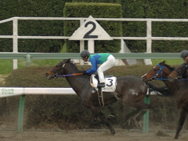 2009/03/08 中山08R