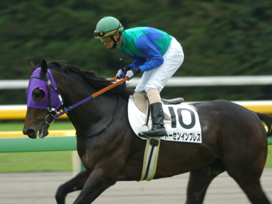 2010/10/24 東京04R