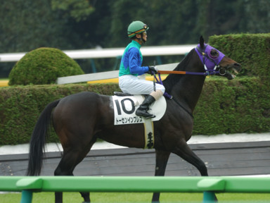 2010/10/24 東京04R