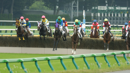 2010/10/24 東京04R