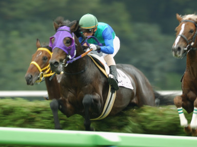 2010/10/24 東京04R