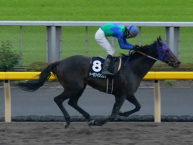 2011/05/07 東京10R