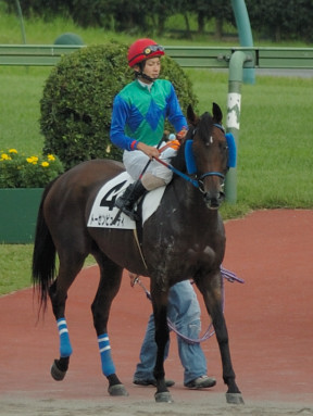 2006/09/09 R08R