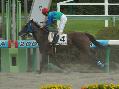 2006/09/09 R08R