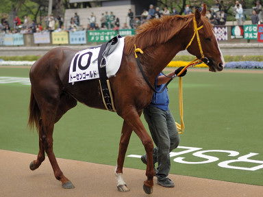 2006/04/23 東京08R