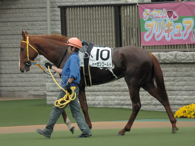 2006/04/23 東京08R