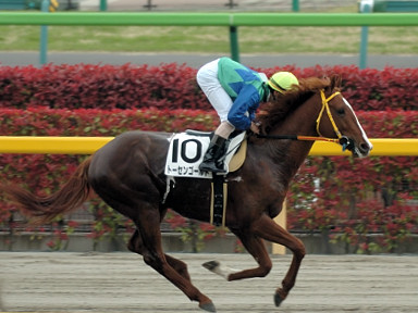 2006/04/23 東京08R