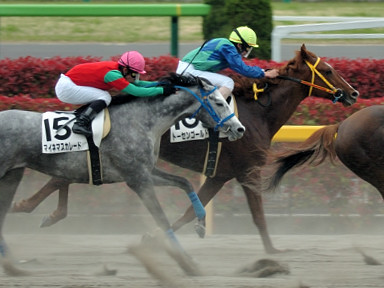 2006/04/23 東京08R